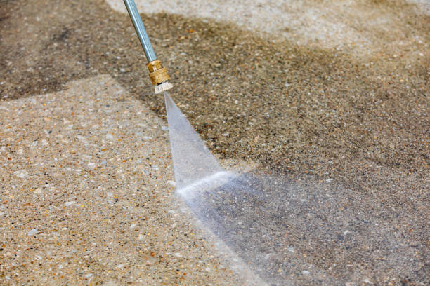 Best Pre-Holiday Cleaning  in Atwater, MN