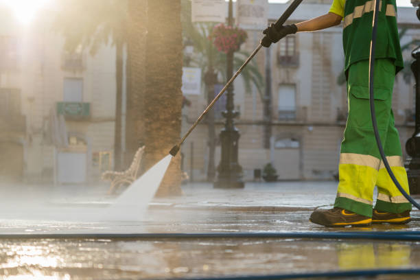 Best Roof Washing  in Atwater, MN